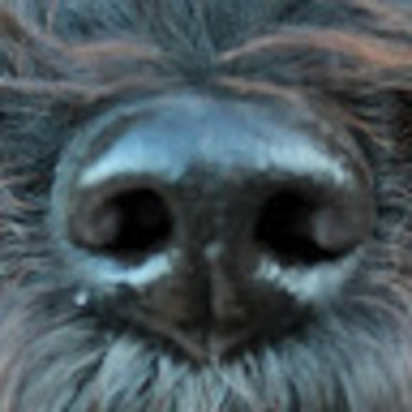 Meet your Posher, Jill - Picture 1 of 1